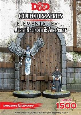Dungeons & Dragons: Aerisi Kalinoth & Air Priest